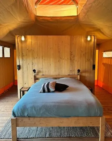 Safari At Back To Basic *