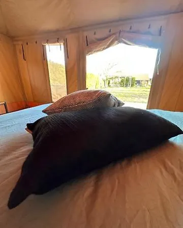 Safari At Back To Basic Campismo de Luxo