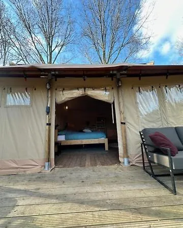 Safari At Back To Basic *