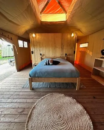 Safari At Back To Basic Zwaanshoek