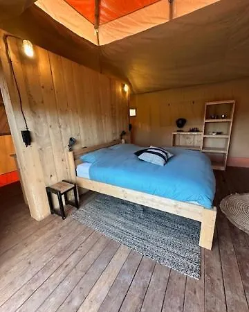 Safari At Back To Basic Campismo de Luxo Zwaanshoek