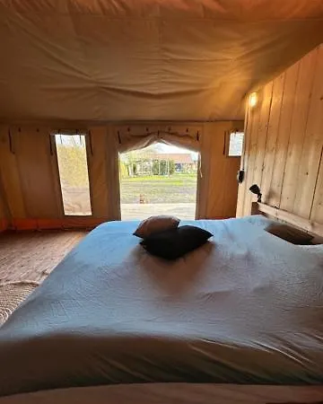 Safari At Back To Basic Zwaanshoek