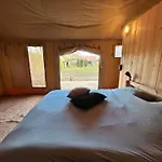 Safari At Back To Basic Zwaanshoek